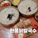 삼백로 | 상주 맛집 무양동 현풍닭칼국수 자가제면 삼계수육세트 후기