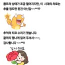 인하카마스타 이미지