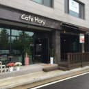 Cafe Hary 네이버블로그