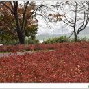 관고리5층석탑 이미지