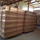 국민장례협동조합(장례묘지이장) 이미지