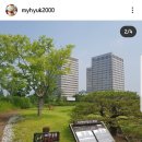 대전짬뽕맛집치엔