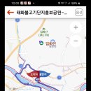 꽃길따라