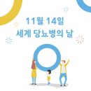11월14일 (금) 당뇨병의 날 이미지