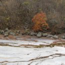 금남중학교 이미지