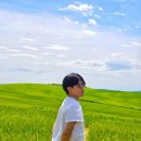 크레타민박 이미지