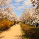 송해보건지소 이미지