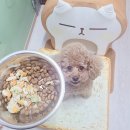 오구오구퍼피 해운대 네이버블로그