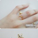 탐나는 고양이 이미지