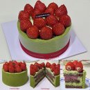 생 | 투썸 말차 스초생 말초생 애매했던 내돈내산 후기