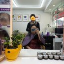 큐 (Q)사랑 | 계양구두피관리 큐사랑 작전점에서 볼륨영양팡팡 후기