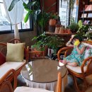 Az cafe 네이버블로그