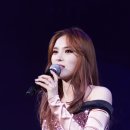 거미X환희 콘서트 뉴스엔