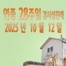연중 28주일 감사성찬례_ 2025년 10월 12일 이미지