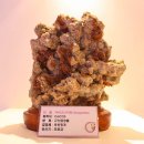 제주궁전 이미지