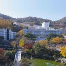 (주)대동백화점