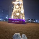 푸라닭화성송산 네이버블로그