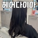 멍 브라운 | 동탄 염색 잘하는 곳 :: 헤어다이아 동탄점 미용실 하나 수석디자이너 매트브라운 후기