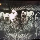 박종수농장 이미지