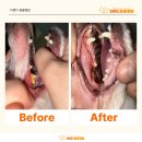 티앤디덴탈 이미지