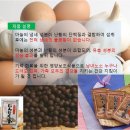 건강백화점 - 성남시 중원구 | 건강백화점
