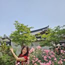 선샤인스포츠 이미지