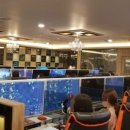 엠탐PC토랑 이미지