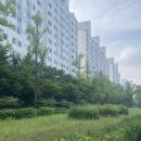 디트로이트 피지스 | 연남동 맛집 피자 디트로이트 피지스 후기🍕