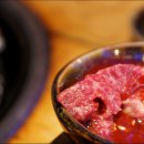 한우야한우야 이미지