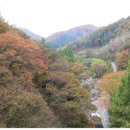 장태산휴양림 이미지