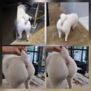 오도독뽀도독 이미지