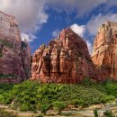 자이언(ZION) 이미지