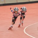 을숙도 인라인경기장 이미지