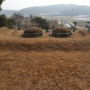 홍한 묘역 티스토리