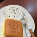 베스트 인 쇼 | 대전 빵지순례 하레하레 둔산점 베스트 메뉴 빵 종류부터 가격까지 싹 털어봄 (주차/카페 정보)