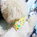 하트동물메디컬센터 이미지