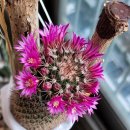 더블유스퀘어 이미지