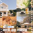 덕수농장 | 제주도 혼자다녀오기 좋은 감성 카페 모음.zip