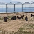 상수리숲농장 이미지