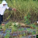 김종현 농장 이미지