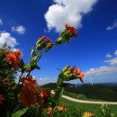 매봉산1 이미지