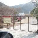 퍼피게스트하우스 | 강원도 양양 퍼피게스트하우스 중대형견 애견동반펜션 후기