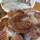 서귀동-35 이미지