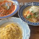 꼬니숑 이미지