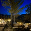 마운틴관광농원 이미지