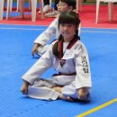 한국체대 탑 태권도장 이미지