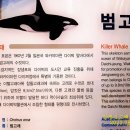 장생포고래박물관 이미지