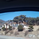 삼식이매운탕 이미지
