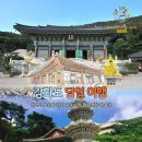 관음시장 이미지