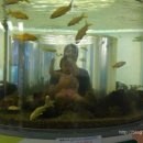 칠갑목장 이미지